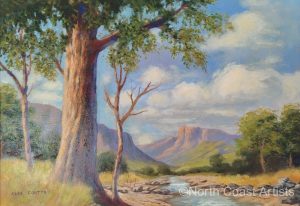 Drakensburg Stream