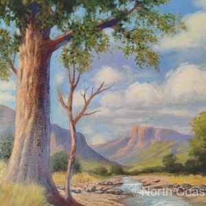 Drakensburg Stream