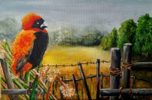 Sitting on the Fence