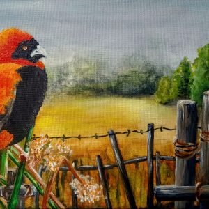 Sitting on the Fence