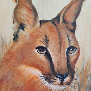 Rooikat