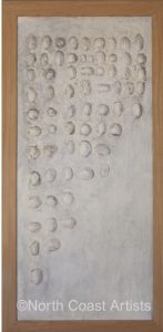 Carapace Forms