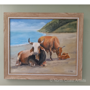 Cows on a Transkei beach